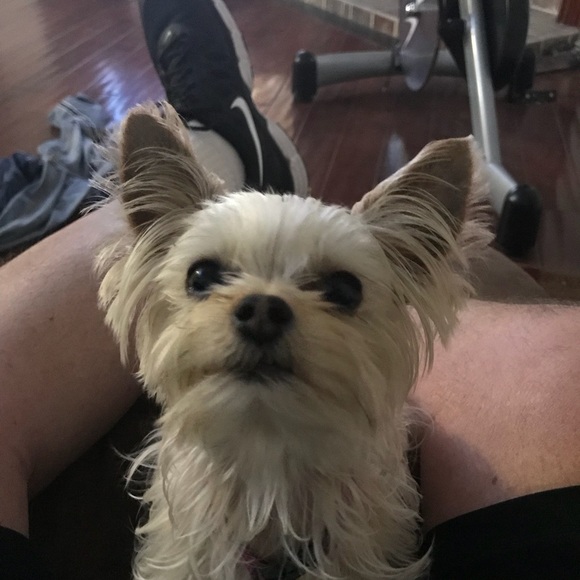 Meet your Posher, Robert - Picture 1 of 1